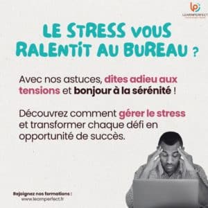 12 11 learnperfect Comment maîtriser la gestion du stress au travail photo